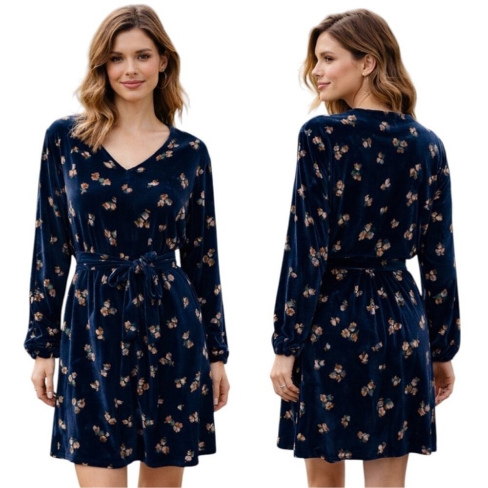 CAbi Decked Out Floral Velvet Dress Blue Style 3875 NWT Size XL